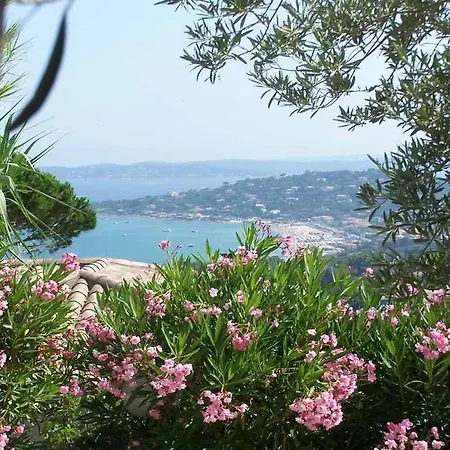 Deux -141 סן-מקסים