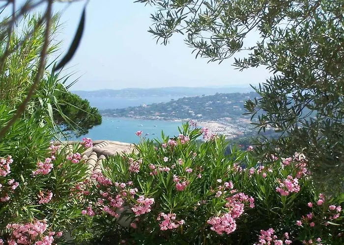 Deux -141 Sainte-Maxime